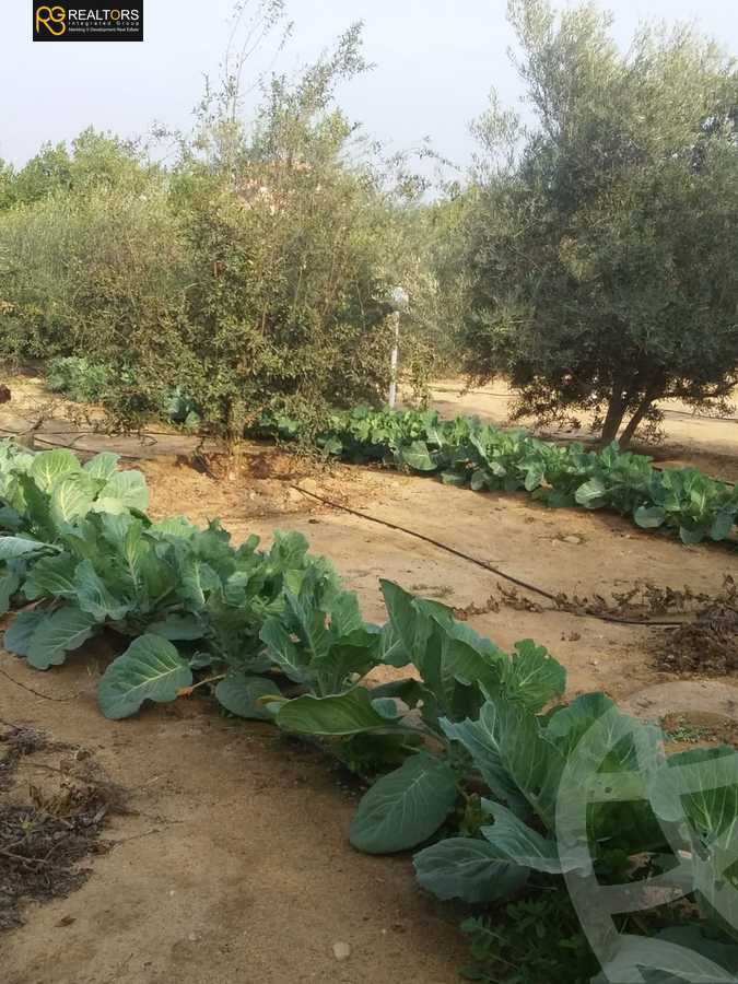 https://aqarmap.com.eg/en/listing/5221411-for-sale-cairo-el-sheikh-zayed-city-alex-cairo-desert-road-mdyn-sfnks-ljdyd-stella-di-mare-farms