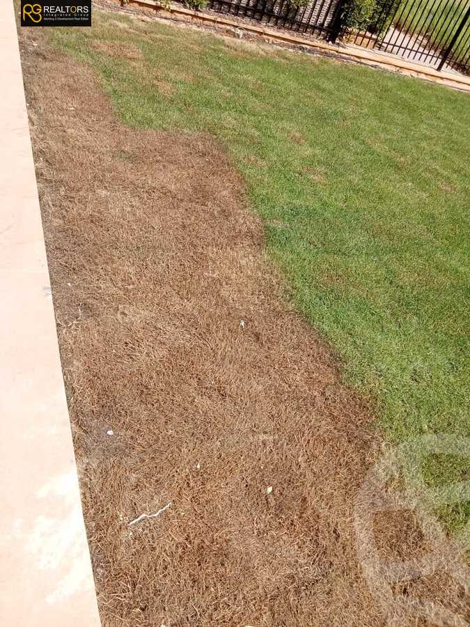 https://aqarmap.com.eg/ar/listing/5348878-for-rent-cairo-el-sheikh-zayed-city-compounds-the-courtyard