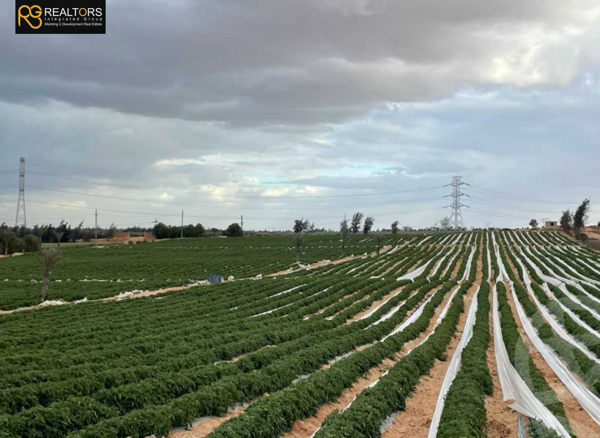 https://aqarmap.com.eg/ar/listing/5600889-for-sale-cairo-el-sheikh-zayed-city-alex-cairo-desert-road
