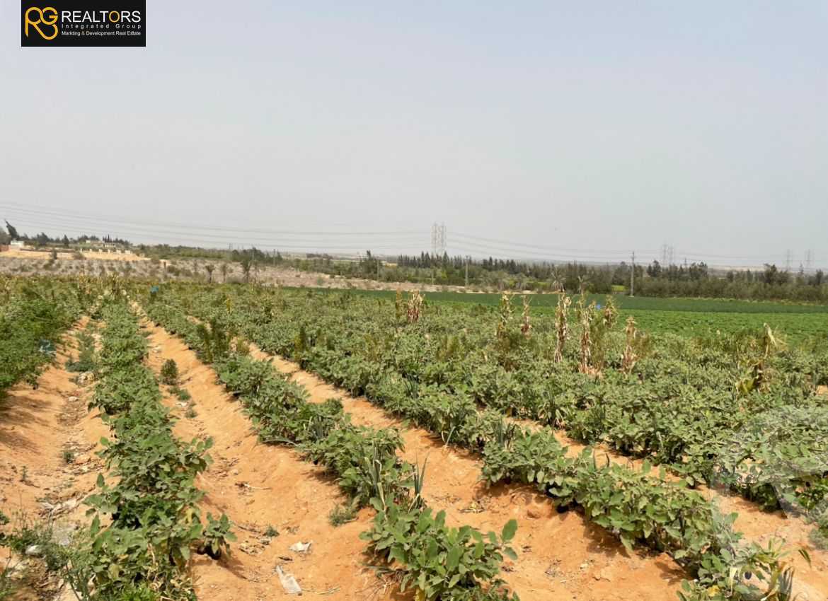 https://aqarmap.com.eg/ar/listing/5600889-for-sale-cairo-el-sheikh-zayed-city-alex-cairo-desert-road