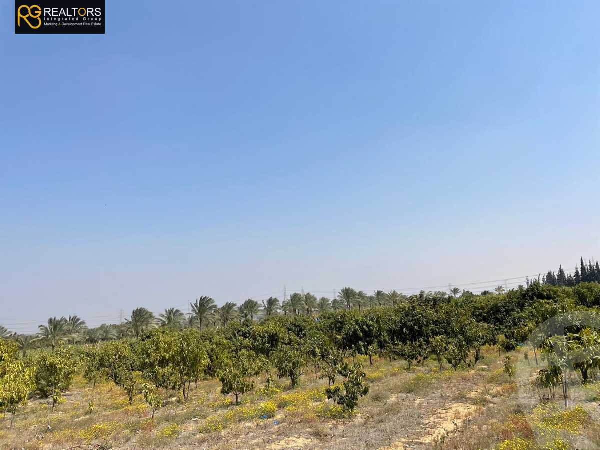 https://aqarmap.com.eg/ar/listing/5600889-for-sale-cairo-el-sheikh-zayed-city-alex-cairo-desert-road
