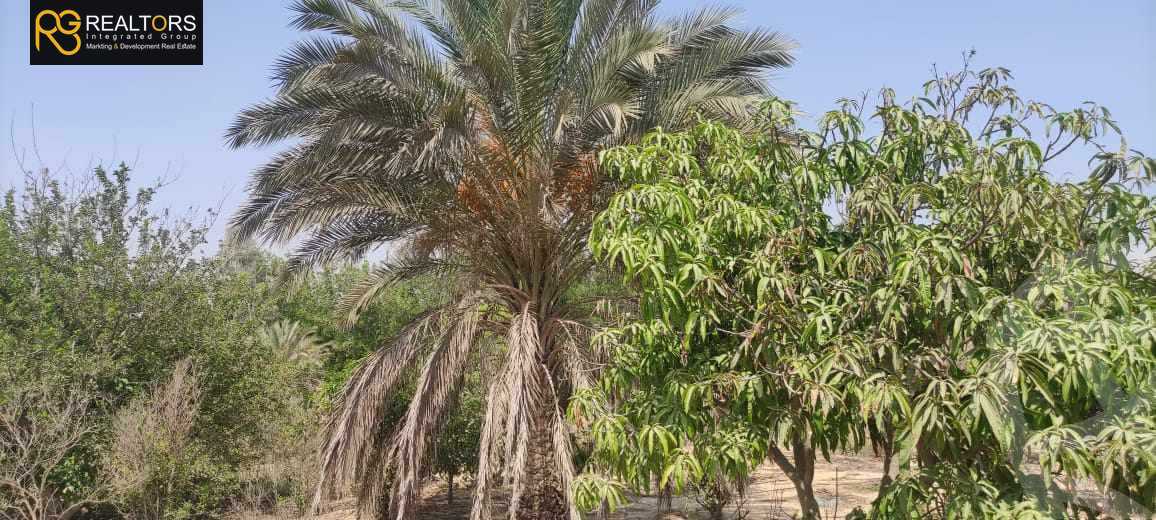 https://aqarmap.com.eg/en/listing/5661952-for-sale-cairo-el-sheikh-zayed-city-lshykh-zyd-ljdyd-el-reef-el-oroby
