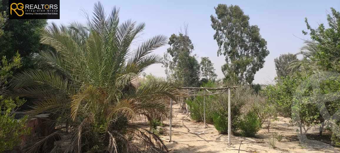 https://aqarmap.com.eg/en/listing/5661952-for-sale-cairo-el-sheikh-zayed-city-lshykh-zyd-ljdyd-el-reef-el-oroby