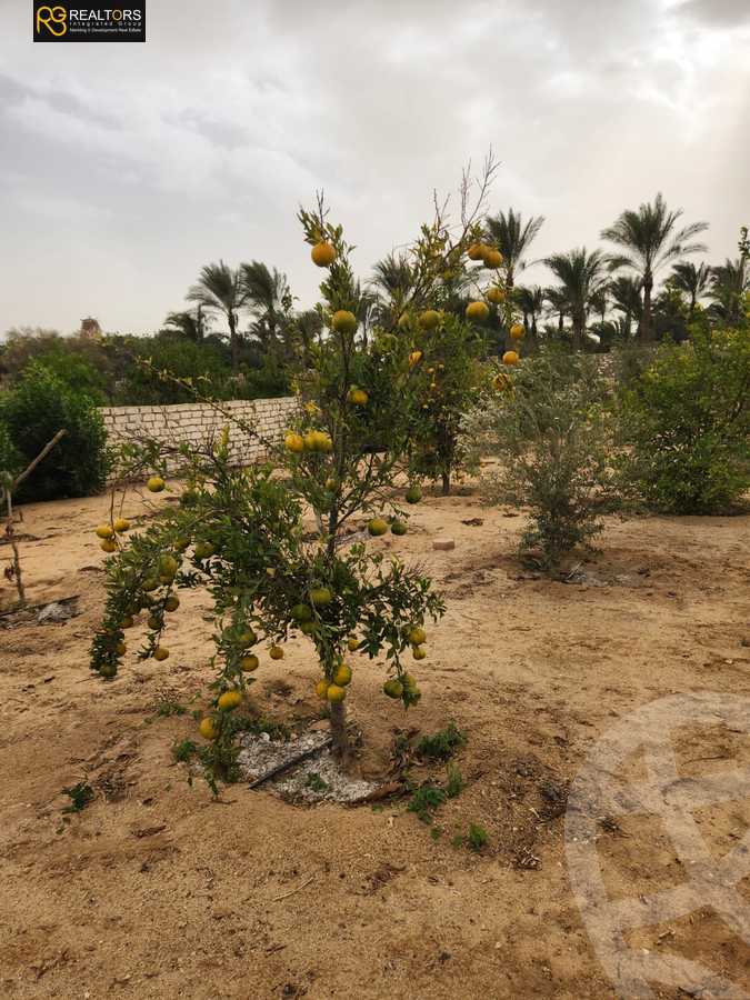 https://aqarmap.com.eg/ar/listing/5677922-for-sale-cairo-el-sheikh-zayed-city-lshykh-zyd-ljdyd-el-reef-el-oroby
