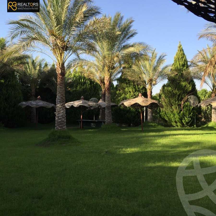 https://aqarmap.com.eg/ar/listing/5678050-for-sale-cairo-el-sheikh-zayed-city-alex-cairo-desert-road