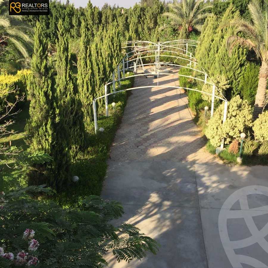 https://aqarmap.com.eg/ar/listing/5678050-for-sale-cairo-el-sheikh-zayed-city-alex-cairo-desert-road