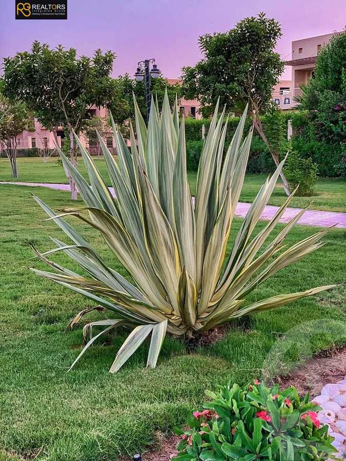 https://aqarmap.com.eg/ar/listing/6197969-for-sale-cairo-6th-of-october-compounds-garden-city-october