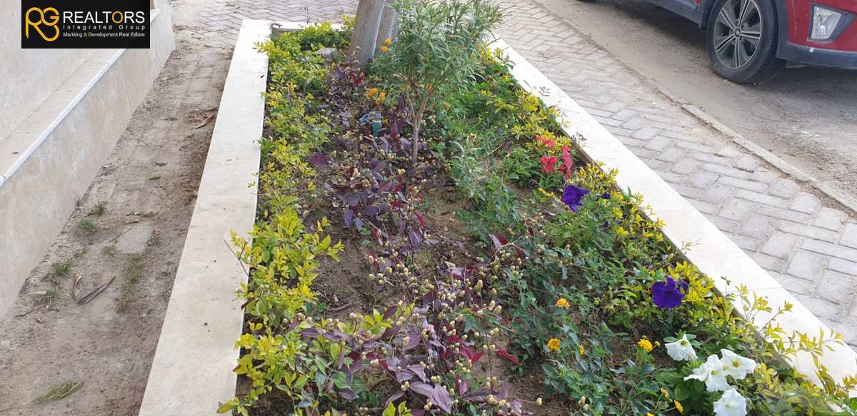 https://aqarmap.com.eg/en/listing/6237645-for-sale-cairo-el-sheikh-zayed-city-compounds-greens