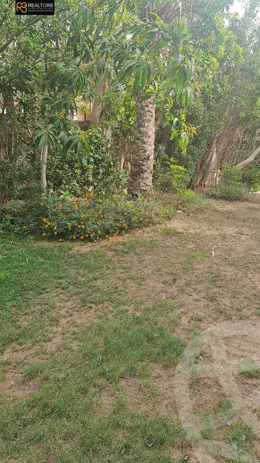 https://aqarmap.com.eg/en/listing/6237645-for-sale-cairo-el-sheikh-zayed-city-compounds-greens