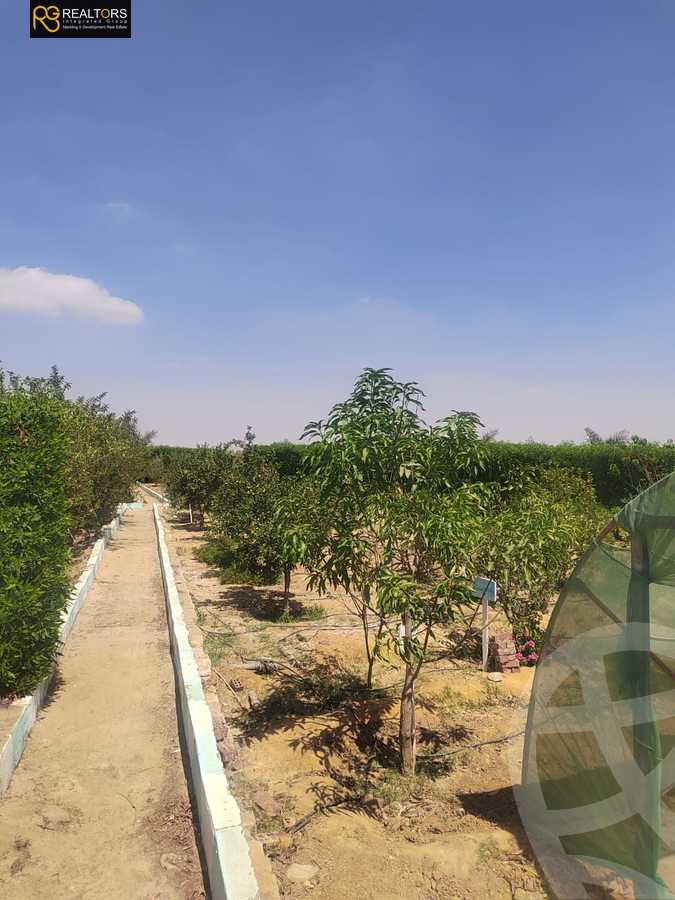 https://aqarmap.com.eg/en/listing/6387200-for-sale-beni-suef-mdyn-bny-swyf-ljdyd-tryq-lqhr-bny-swyf-lshrwy