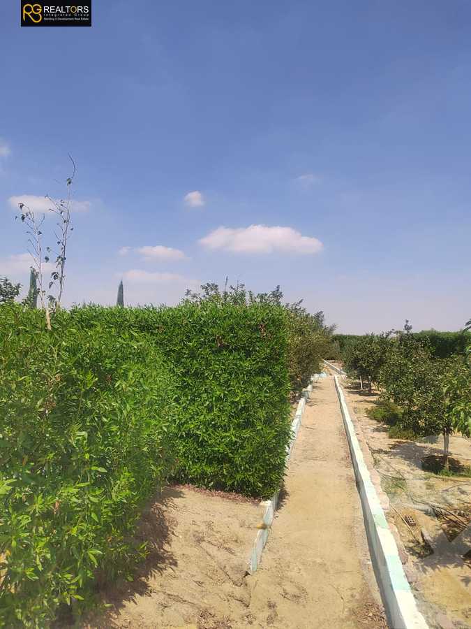 https://aqarmap.com.eg/en/listing/6387200-for-sale-beni-suef-mdyn-bny-swyf-ljdyd-tryq-lqhr-bny-swyf-lshrwy