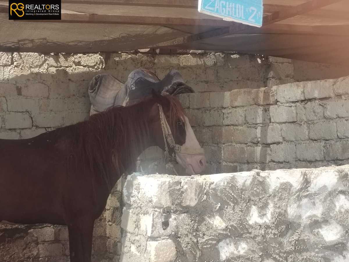 https://aqarmap.com.eg/en/listing/6387200-for-sale-beni-suef-mdyn-bny-swyf-ljdyd-tryq-lqhr-bny-swyf-lshrwy