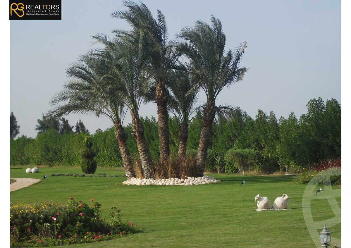 https://aqarmap.com.eg/ar/listing/6495256-for-sale-cairo-el-sheikh-zayed-city-alex-cairo-desert-road-kmbwnd-fy-tryq-skndry-lshrwy
