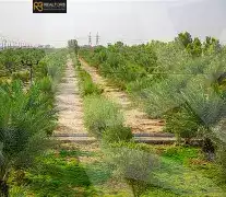 https://aqarmap.com.eg/en/listing/6590816-for-sale-cairo-6th-of-october-green-belt-wadi-el-nile