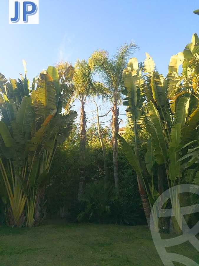 https://aqarmap.com.eg/ar/listing/2508228-for-sale-villa-cairo-new-cairo