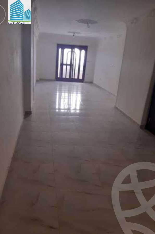 https://aqarmap.com.eg/en/listing/2876463-for-rent-alexandria-ganaklis-shr-bw-qyr-tryq-lhry