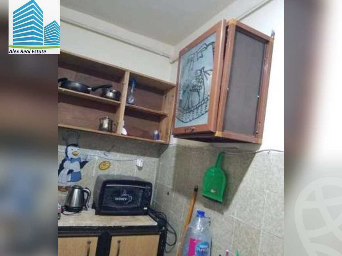 https://aqarmap.com.eg/ar/listing/3796869-for-rent-alexandria-roshdy-roushdy-st