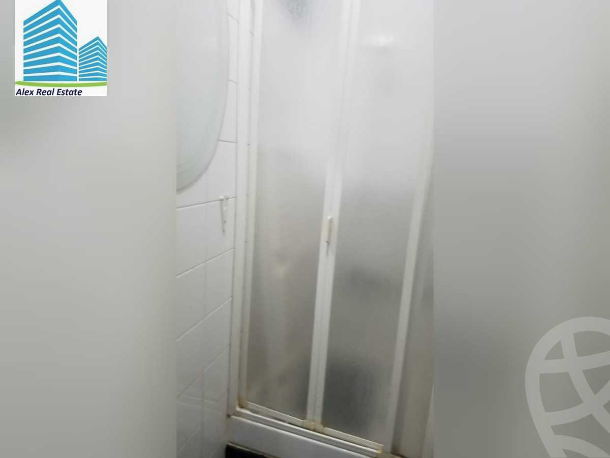 https://aqarmap.com.eg/ar/listing/3831371-for-rent-alexandria-roshdy-syria-st