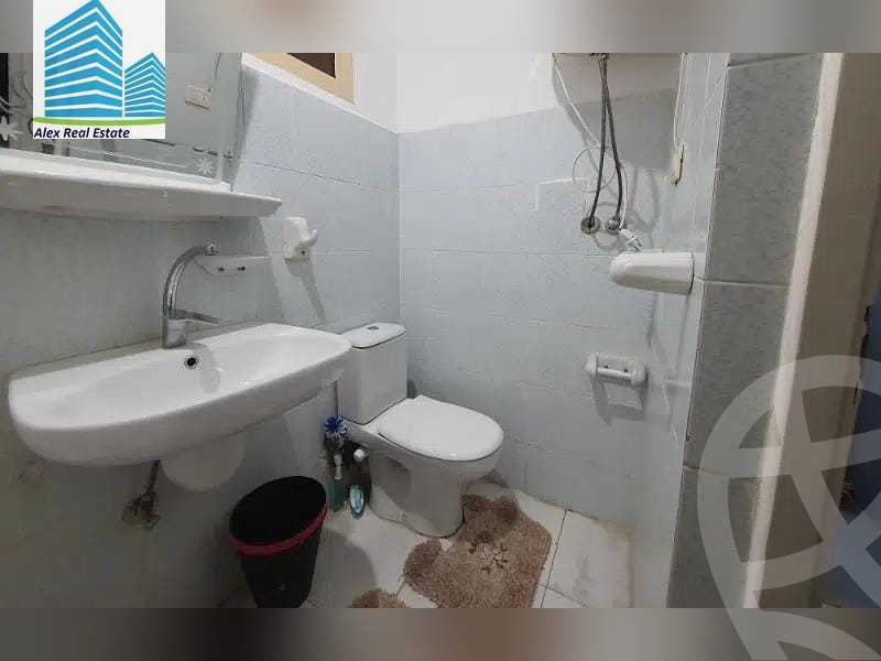 https://aqarmap.com.eg/en/listing/3859435-for-rent-alexandria-roshdy-syria-st