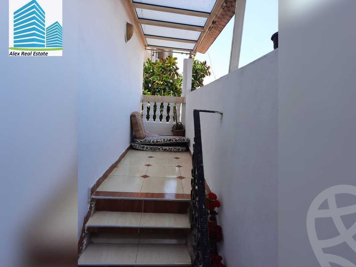 https://aqarmap.com.eg/ar/listing/3875003-for-rent-alexandria-sporting-abou-quer-st