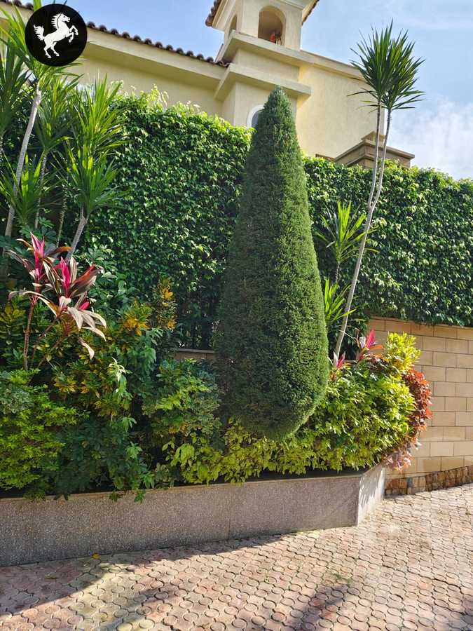 https://aqarmap.com.eg/en/listing/5408786-for-sale-cairo-el-sheikh-zayed-city-compounds-el-khamayel