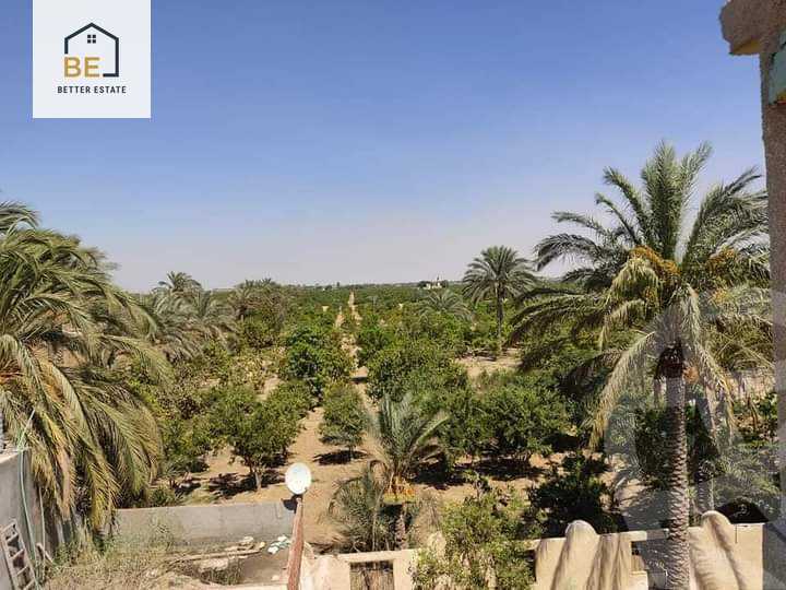 https://aqarmap.com.eg/en/listing/5199517-for-sale-ismailia-ismailia-city