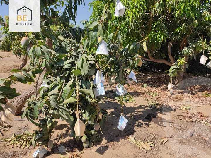 https://aqarmap.com.eg/en/listing/5199517-for-sale-ismailia-ismailia-city
