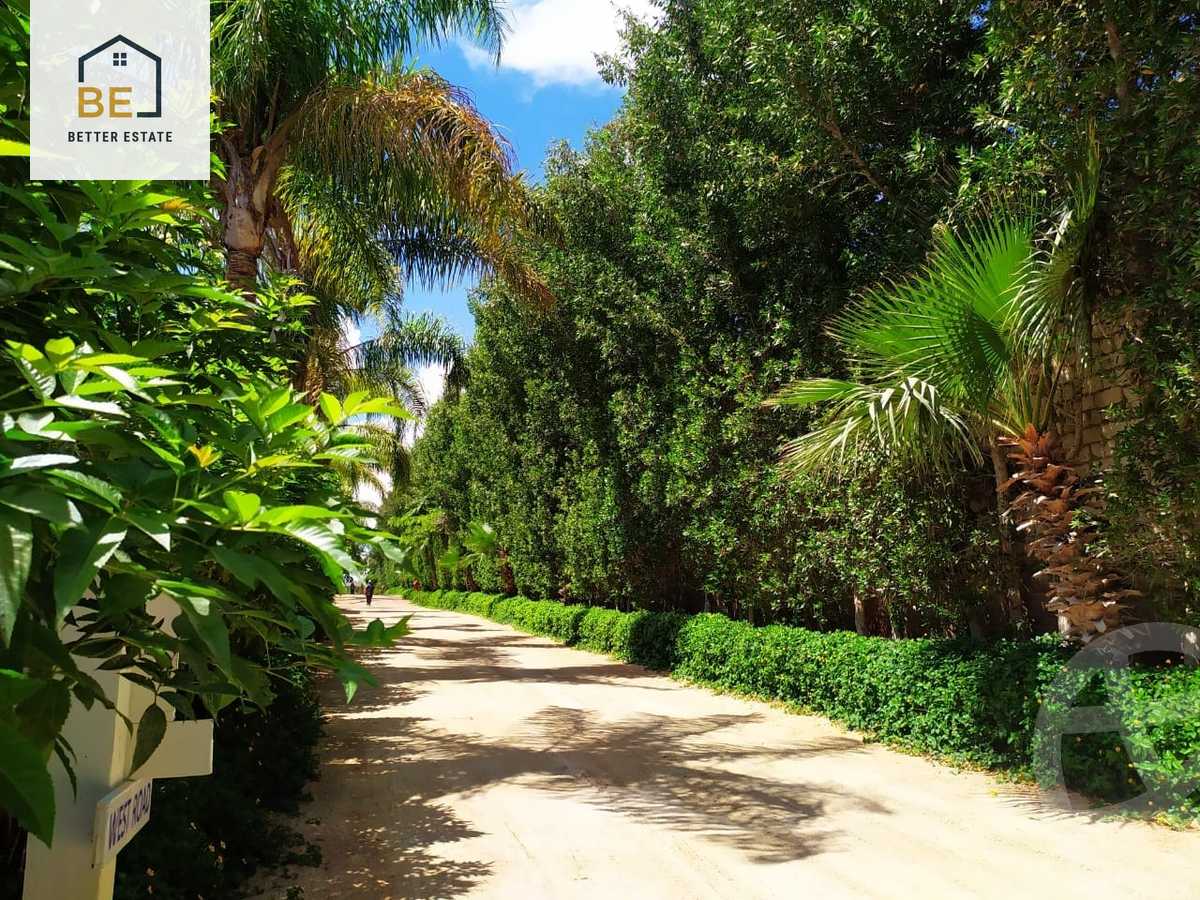 https://aqarmap.com.eg/en/listing/5934554-for-rent-north-coast-resorts-hacienda-white