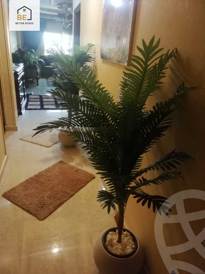 https://aqarmap.com.eg/en/listing/6130567-for-rent-cairo-new-cairo-gharb-arabila-doctor-hani-maher-st