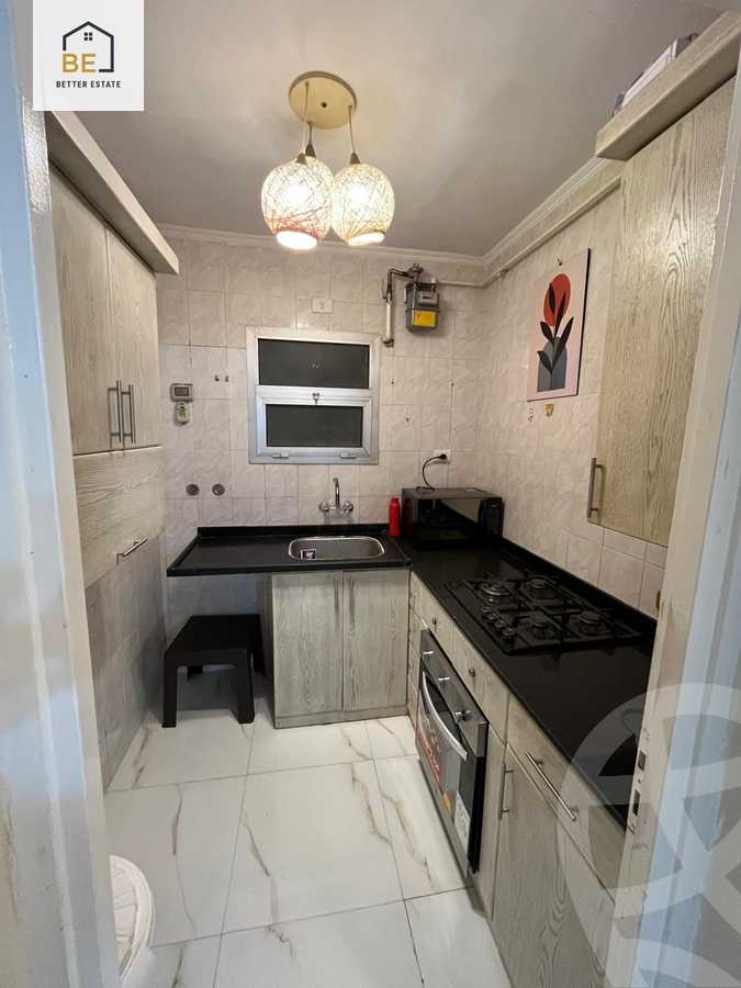 https://aqarmap.com.eg/en/listing/6151591-for-rent-cairo-new-cairo-lrhb-city-phase-5-ibn-al-nafees-st