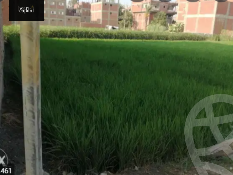 https://aqarmap.com.eg/ar/listing/3652293-for-sale-cairo-tryq-skndry-lzr-y