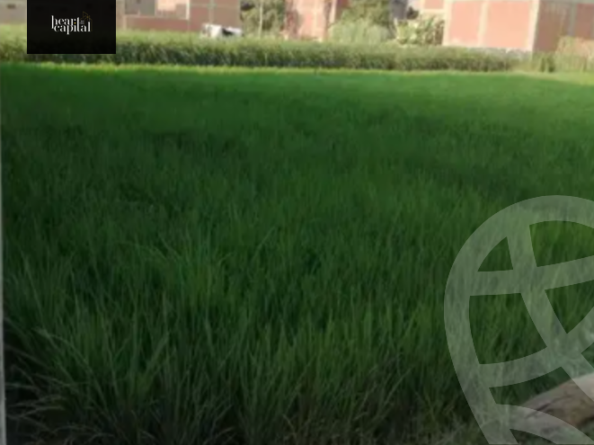 https://aqarmap.com.eg/ar/listing/3717928-for-sale-cairo-tryq-skndry-lzr-y