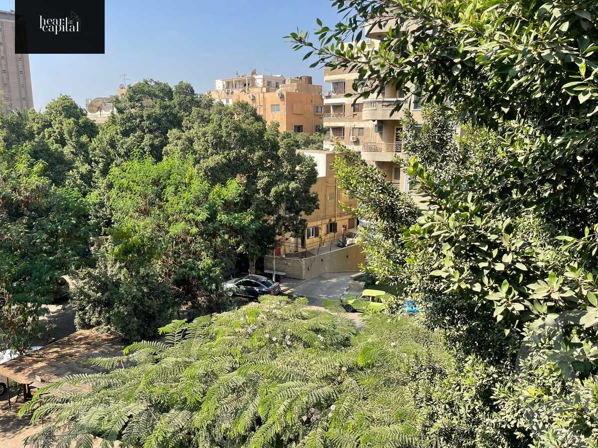 https://aqarmap.com.eg/en/listing/4329273-for-rent-cairo-el-maadi-degla-street-213