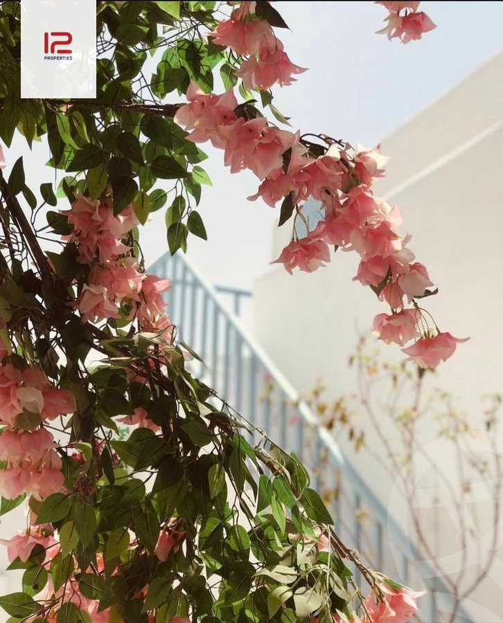 https://aqarmap.com.eg/ar/listing/4150955-for-sale-north-coast-resorts-lvls-resort-mountain-view