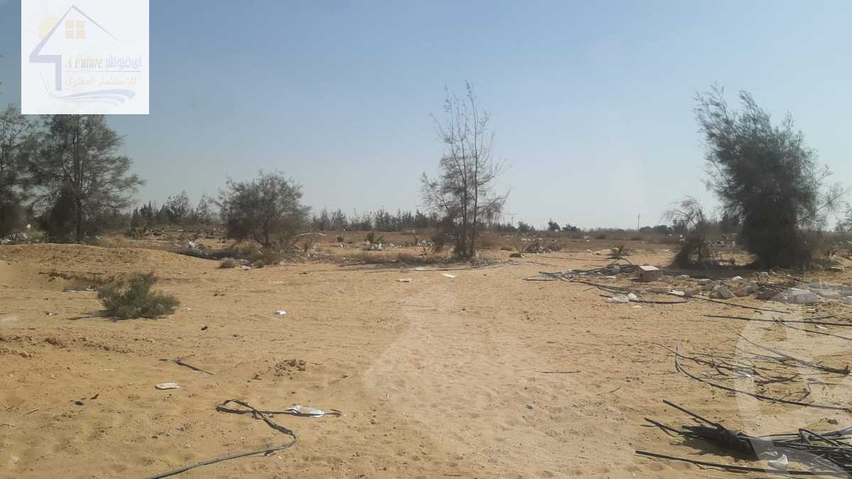 https://aqarmap.com.eg/ar/listing/4228971-for-sale-el-wahatt-road