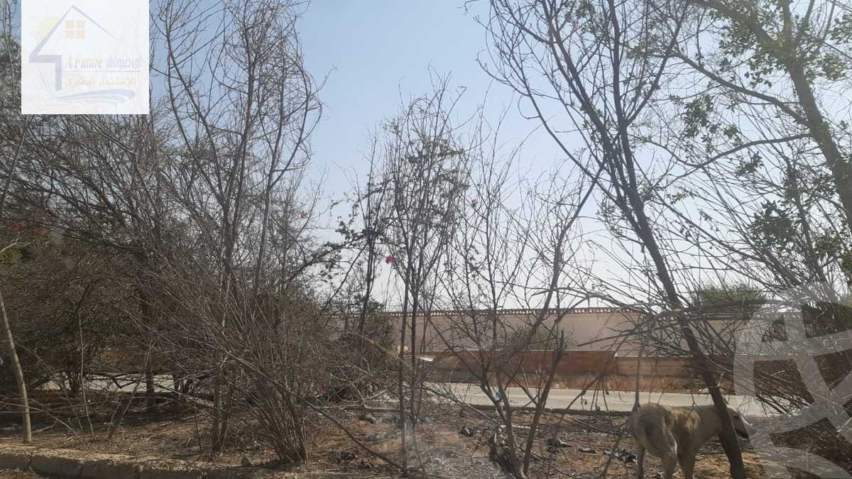 https://aqarmap.com.eg/ar/listing/4292316-for-sale-cairo-el-sheikh-zayed-city-bait-el-watan