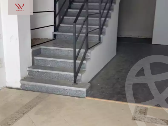https://aqarmap.com.eg/en/listing/5667318-for-rent-cairo-nasr-city-abbas-el-akkad