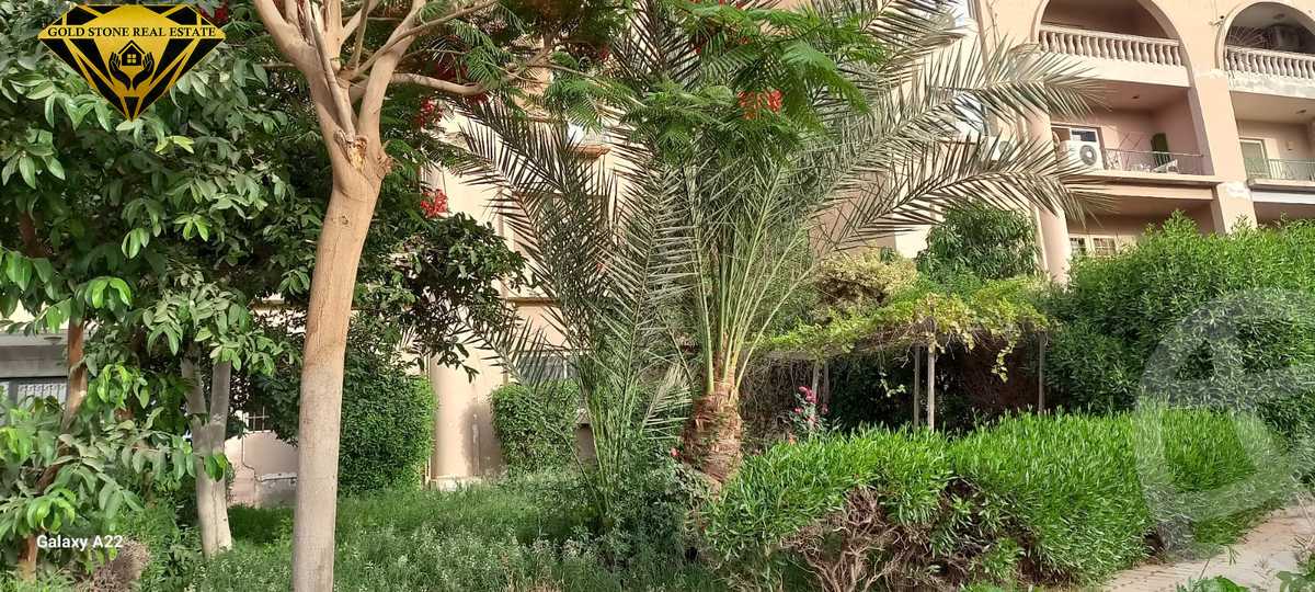 https://aqarmap.com.eg/en/listing/4056289-for-rent-cairo-new-cairo-compounds-el-masrawiyeh