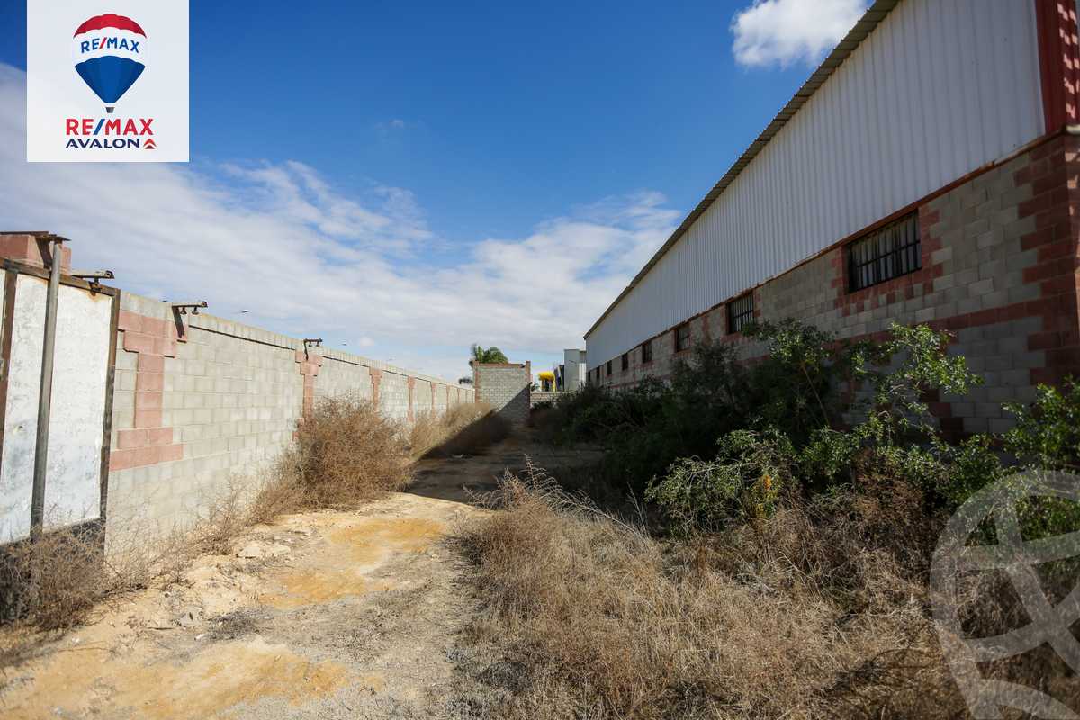 https://aqarmap.com.eg/ar/listing/5328672-for-sale-alexandria-borg-el-arab-gamal-abd-el-naser-rd