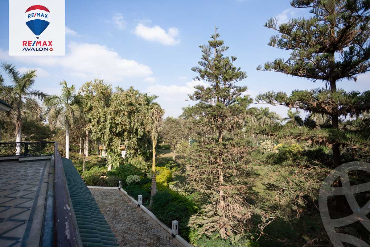 https://aqarmap.com.eg/en/listing/5647788-for-sale-cairo-el-mansuriyyah-ahmed-zaghloul-st