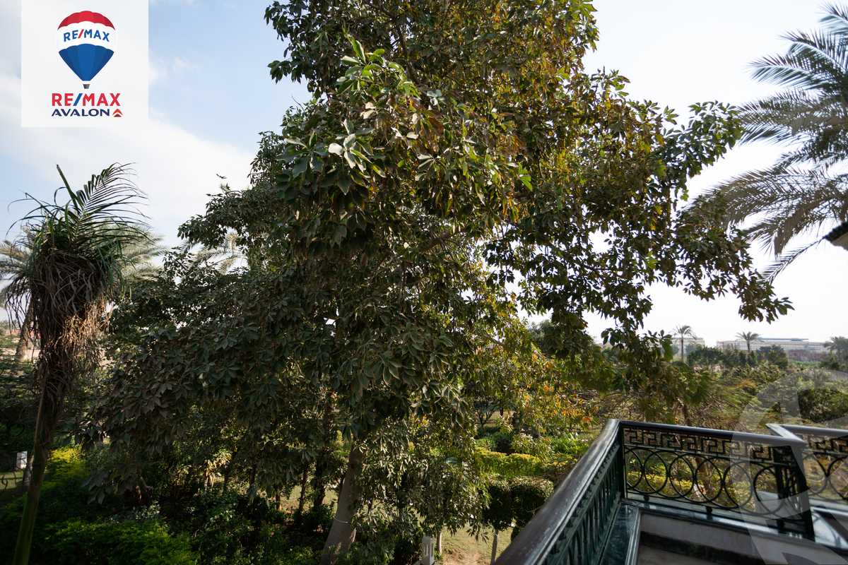 https://aqarmap.com.eg/en/listing/5647788-for-sale-cairo-el-mansuriyyah-ahmed-zaghloul-st