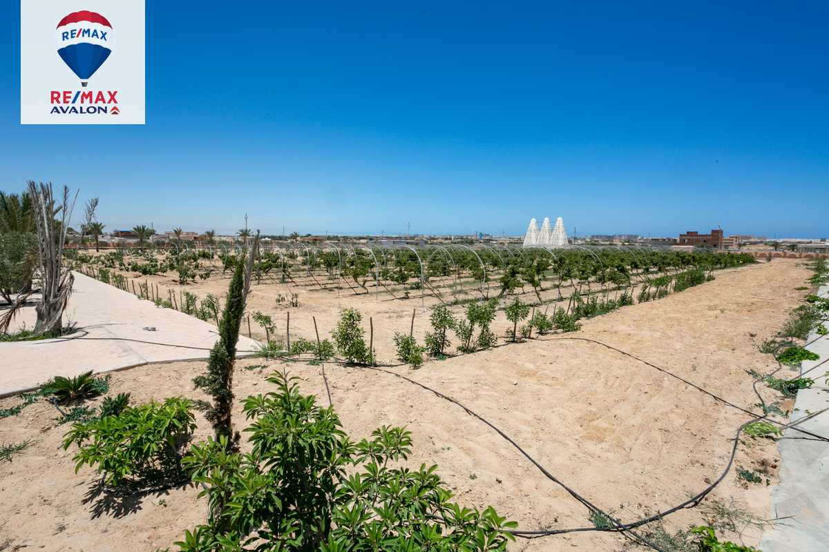 https://aqarmap.com.eg/en/listing/6092431-for-sale-marsa-matruh-el-hamam-el-ameed