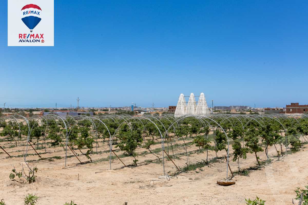 https://aqarmap.com.eg/en/listing/6092431-for-sale-marsa-matruh-el-hamam-el-ameed