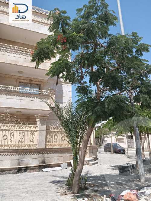 https://aqarmap.com.eg/en/listing/6106796-for-rent-cairo-new-cairo-gharb-el-golf-alaa-elsaadany-st
