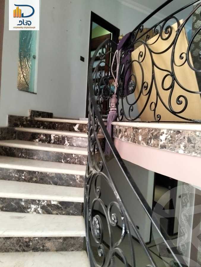 https://aqarmap.com.eg/en/listing/6131930-for-rent-cairo-new-cairo-south-investors-al-gezira-st