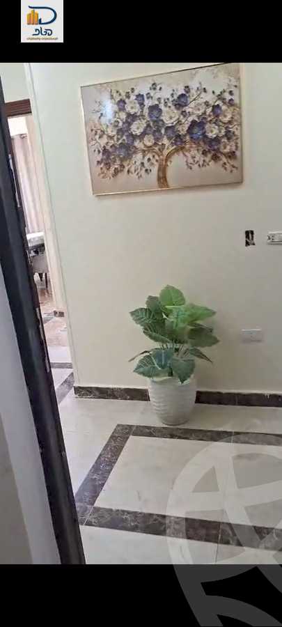 https://aqarmap.com.eg/en/listing/6269461-for-rent-cairo-new-cairo-south-investors-al-gezira-st