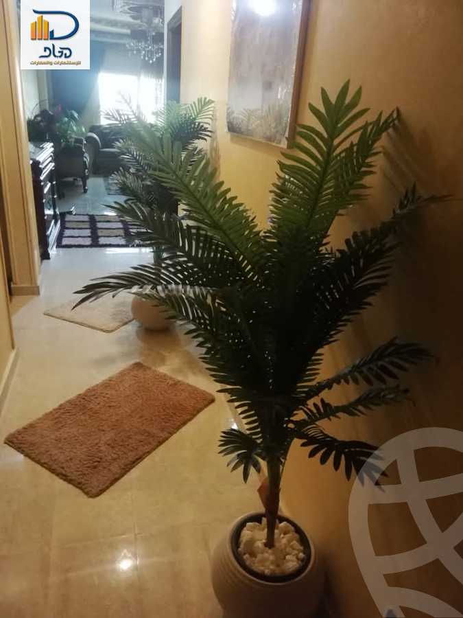 https://aqarmap.com.eg/en/listing/6280734-for-rent-cairo-new-cairo-gharb-arabila-doctor-hani-maher-st