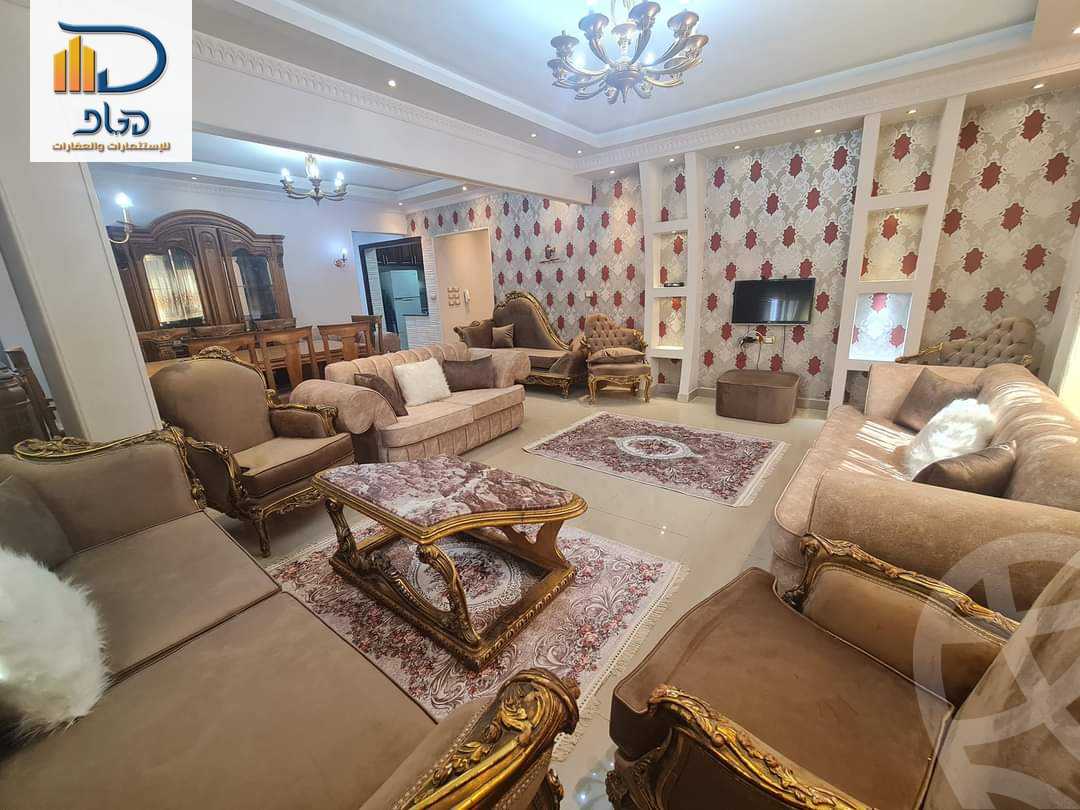 https://aqarmap.com.eg/en/listing/6283151-for-rent-cairo-new-cairo-90th-street-south-teseen-st