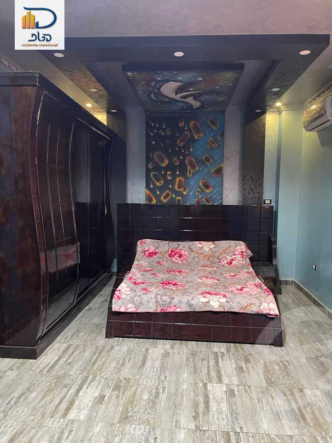 https://aqarmap.com.eg/en/listing/6300190-for-rent-cairo-new-cairo-south-investors-el-nasr-st