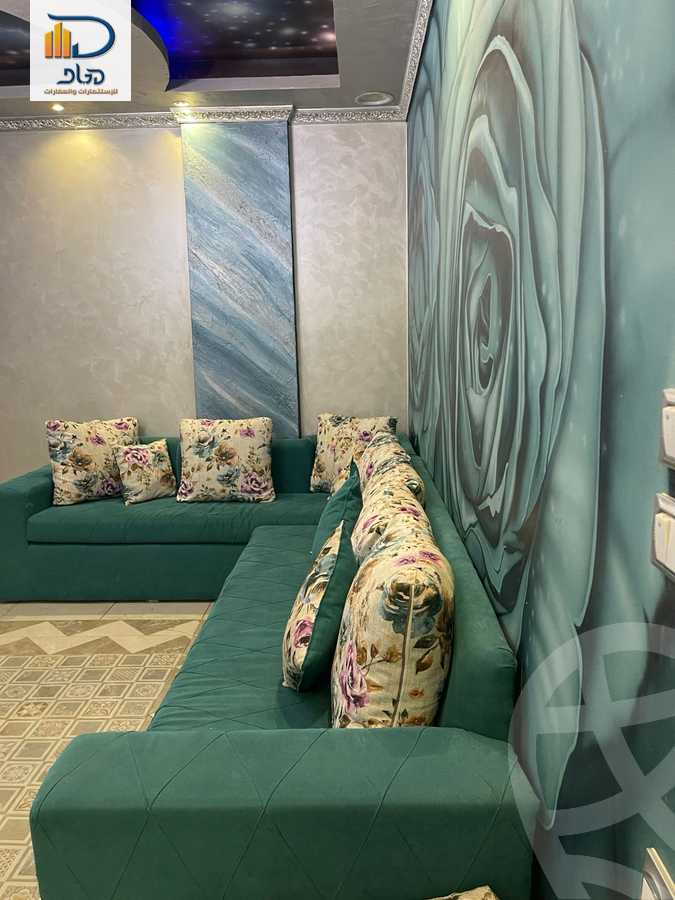 https://aqarmap.com.eg/en/listing/6563970-for-rent-cairo-new-cairo-south-investors-el-nasr-st